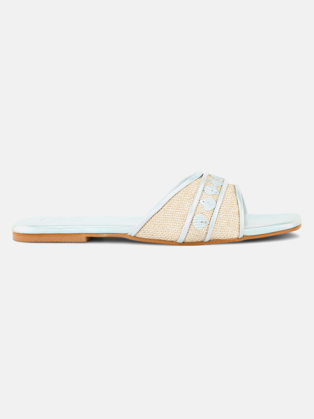 Aquatic Sea Shell Flats