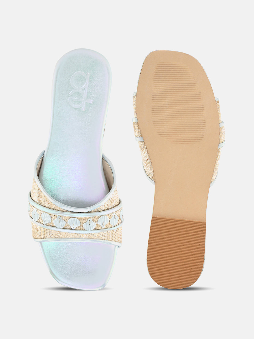 Aquatic Sea Shell Flats