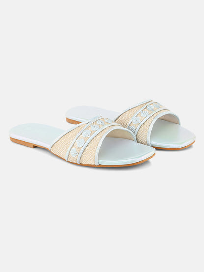 Aquatic Sea Shell Flats